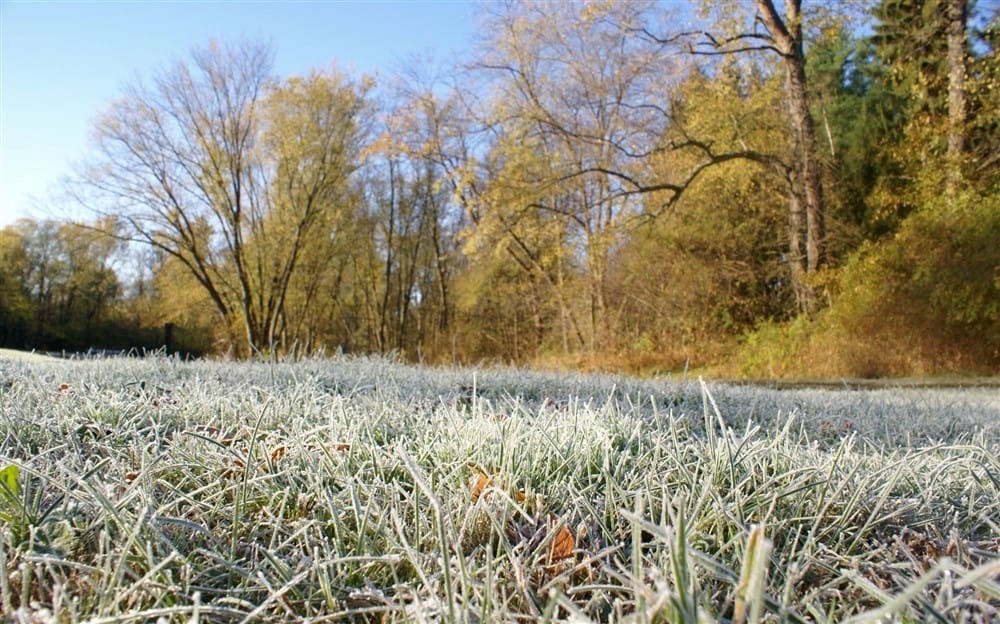 What to Know About Frost
